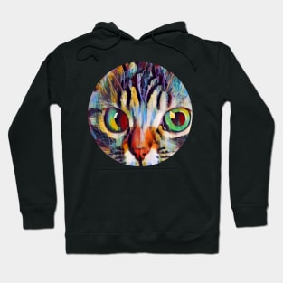 Cute floppy cat Hoodie